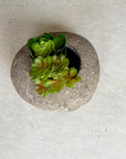 Small River Stone Pot Plant