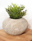Large River Stone Pot Plant