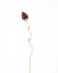 Rust Twisted Floral Bamboo Decoration