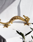 Seahorse Brass Door Handle - Medium