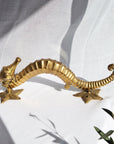 Seahorse Brass Door Handle - Medium
