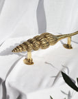 Shell Brass Door Handle