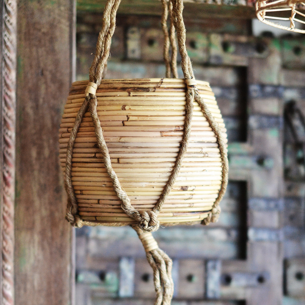 cane hanging planter Small Cane Pot Plant Hanger – Paradise Living Co