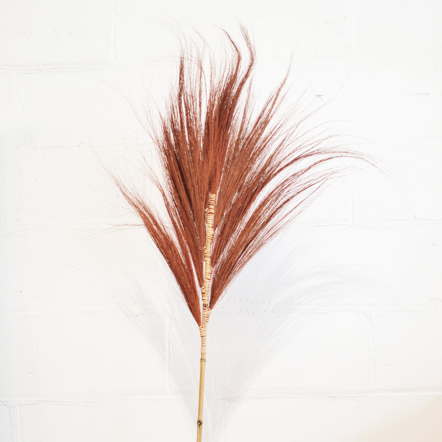 Small Grass Leaf | Assorted Colours