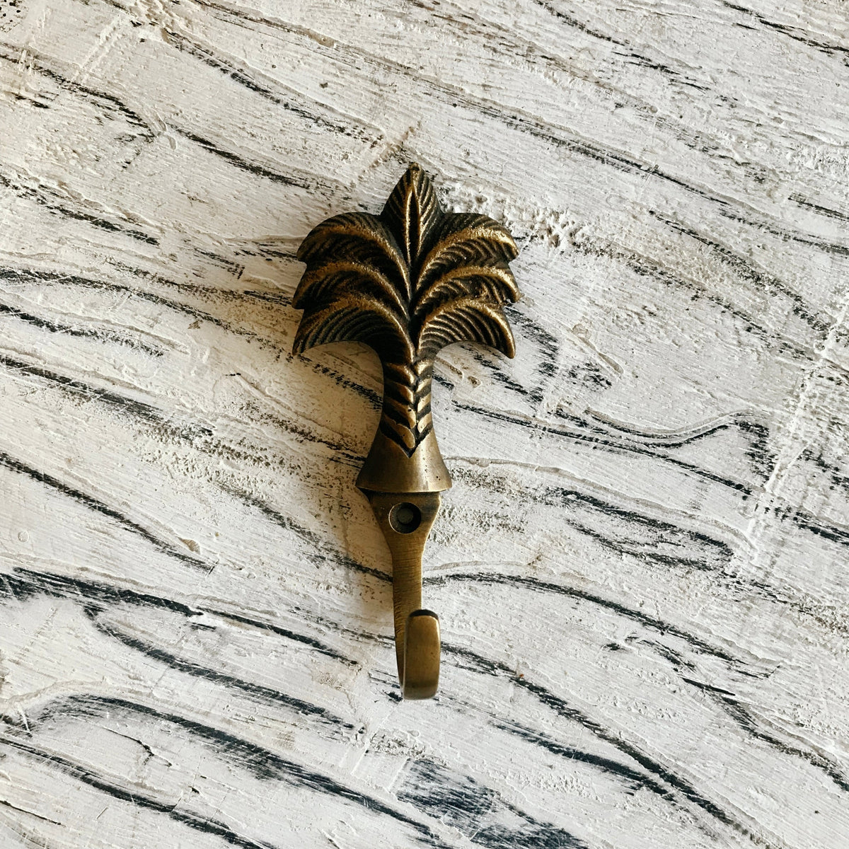 Small Tropical Palm Aged Brass Wall Hook 10cm Paradise Living Co