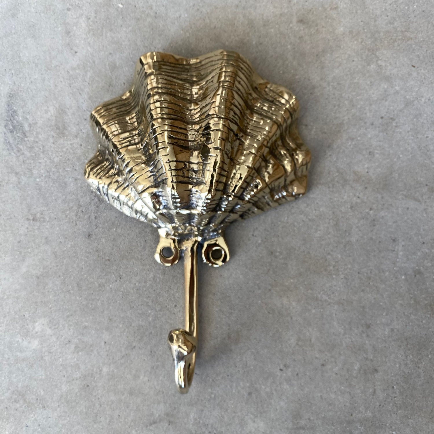 Brass Contour Clam Shell Wall Hook – Paradise Living Co.