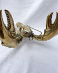 Brass Lobster 35cm