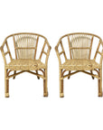 Byron Rattan Chair - Set of 2