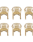 Byron Rattan Chair - Set of 6