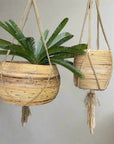 Large Cane Pot Plant Hanger