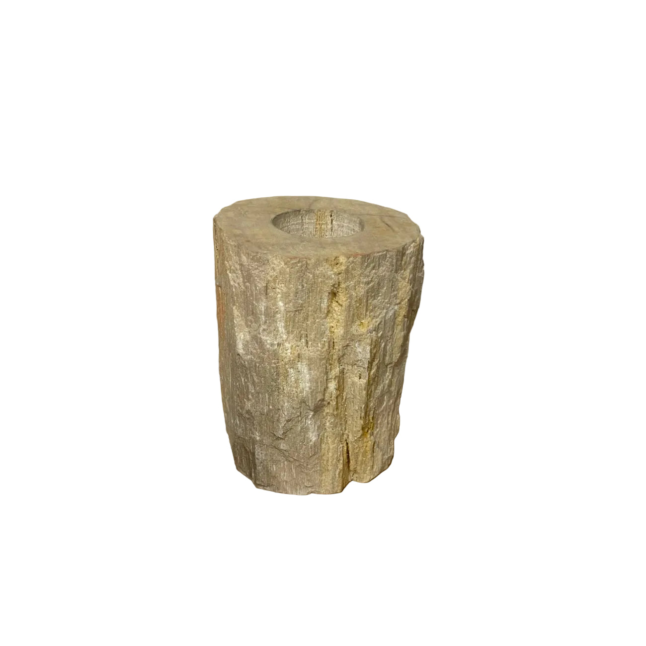 Large Fossilised Wood Tealight Candle Holder