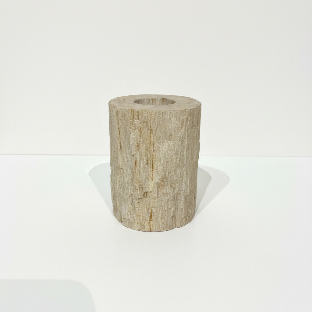 Large Fossilised Wood Tealight Candle Holder