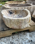 Natural Fossilised Wood Basin 