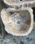 Natural Fossilised Wood Basin 