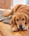 Shorn Curly Pet Rug