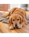 Shorn Curly Pet Rug