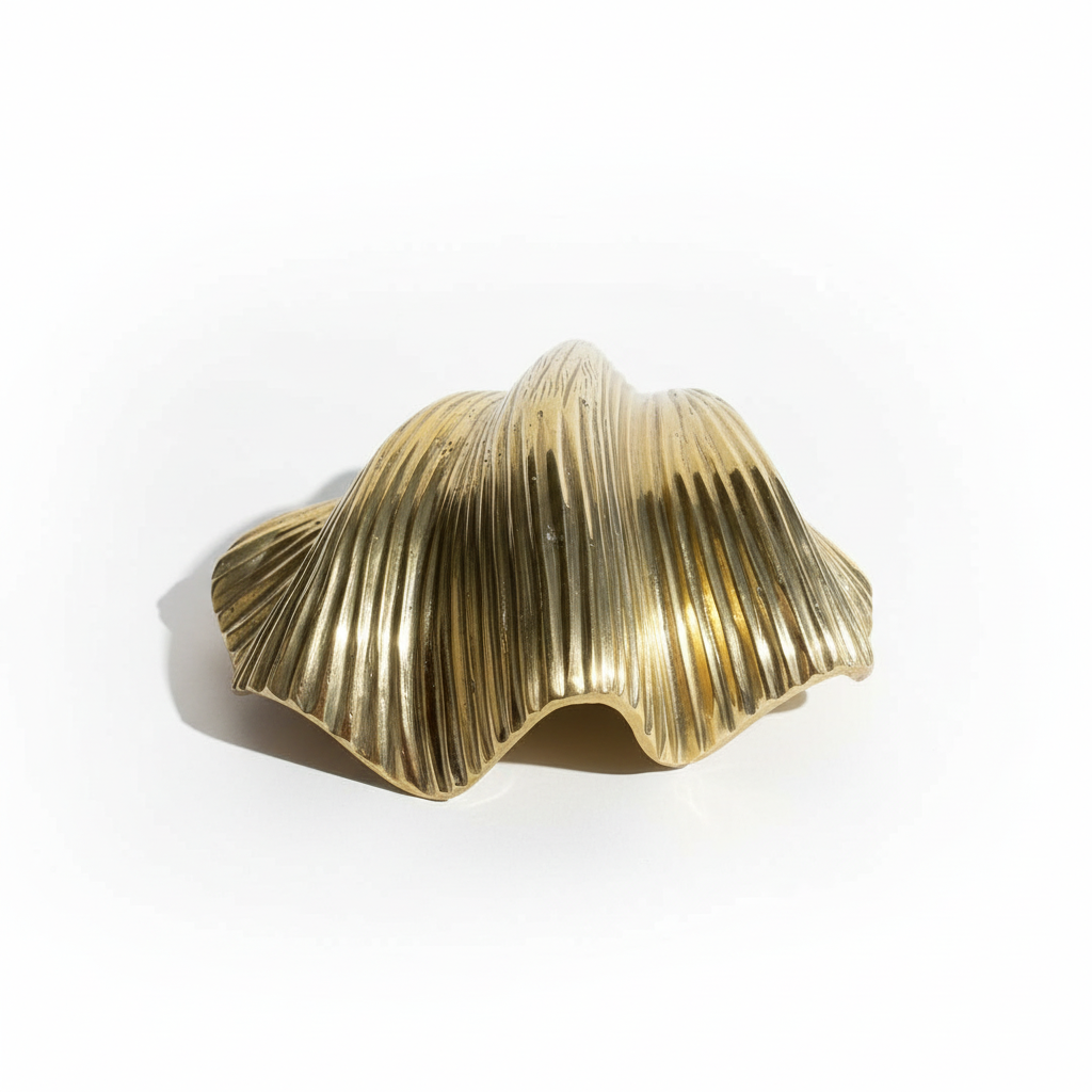 Clam Shell Stylenet Linear Brass Clam Shell 18cm – Paradise Living Co.
