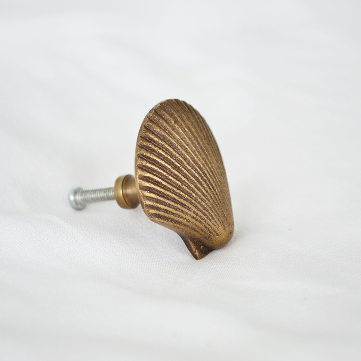 Aged Brass Clam Shell Drawer Handle