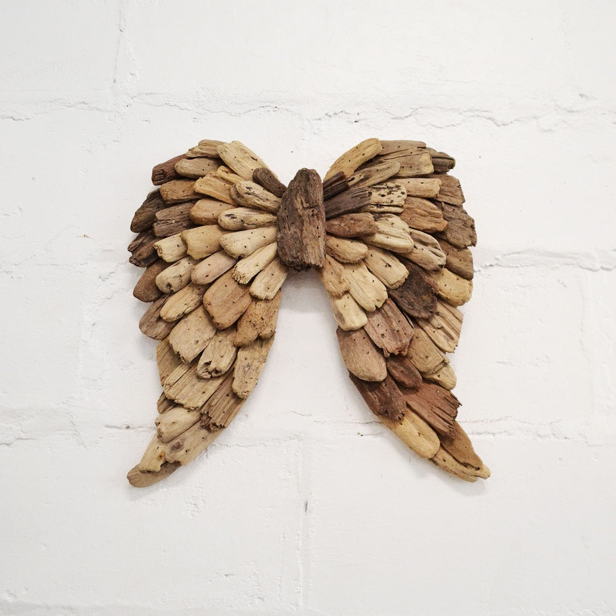Small Angel Wings Driftwood