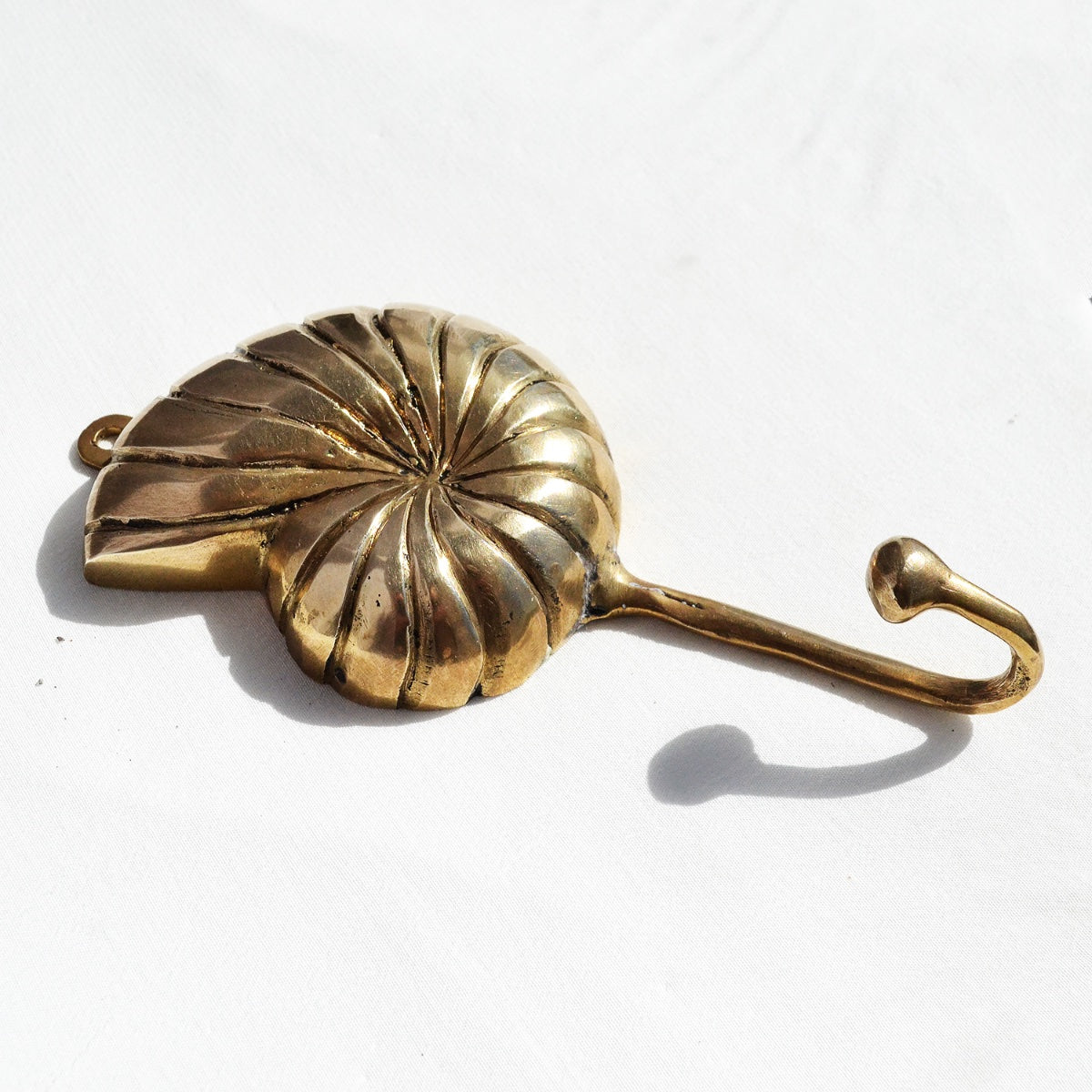 Brass Nautical Shell Wall Hook – Paradise Living Co.