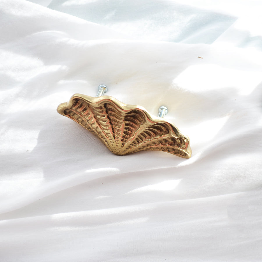 Brass Shell Drawer Handle