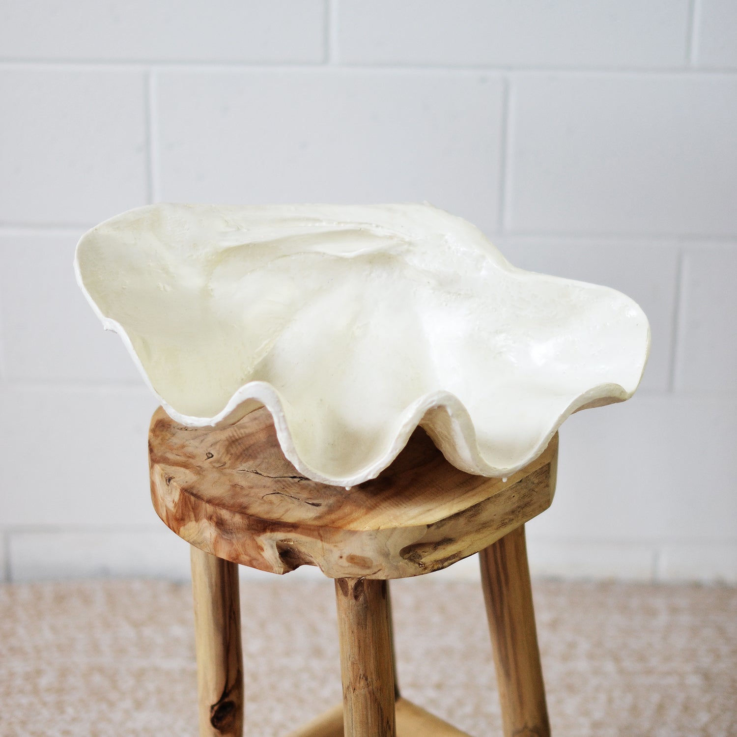 White Decorative Clam Shell