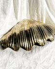 Grand Linear Brass Clam Shell 45cm