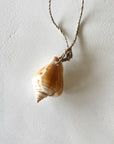 Hanging Shell Ornaments