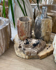 Fossilised Wood Tooth Brush Holder