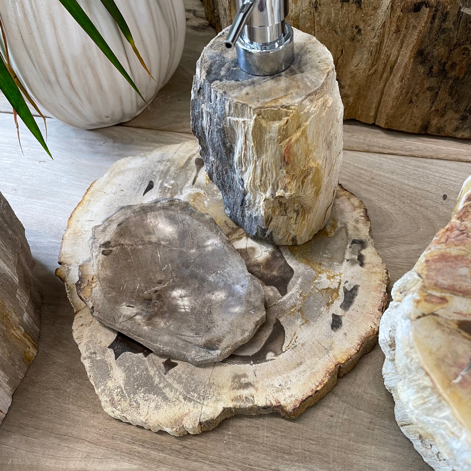 Petrified Timber Stone Tray