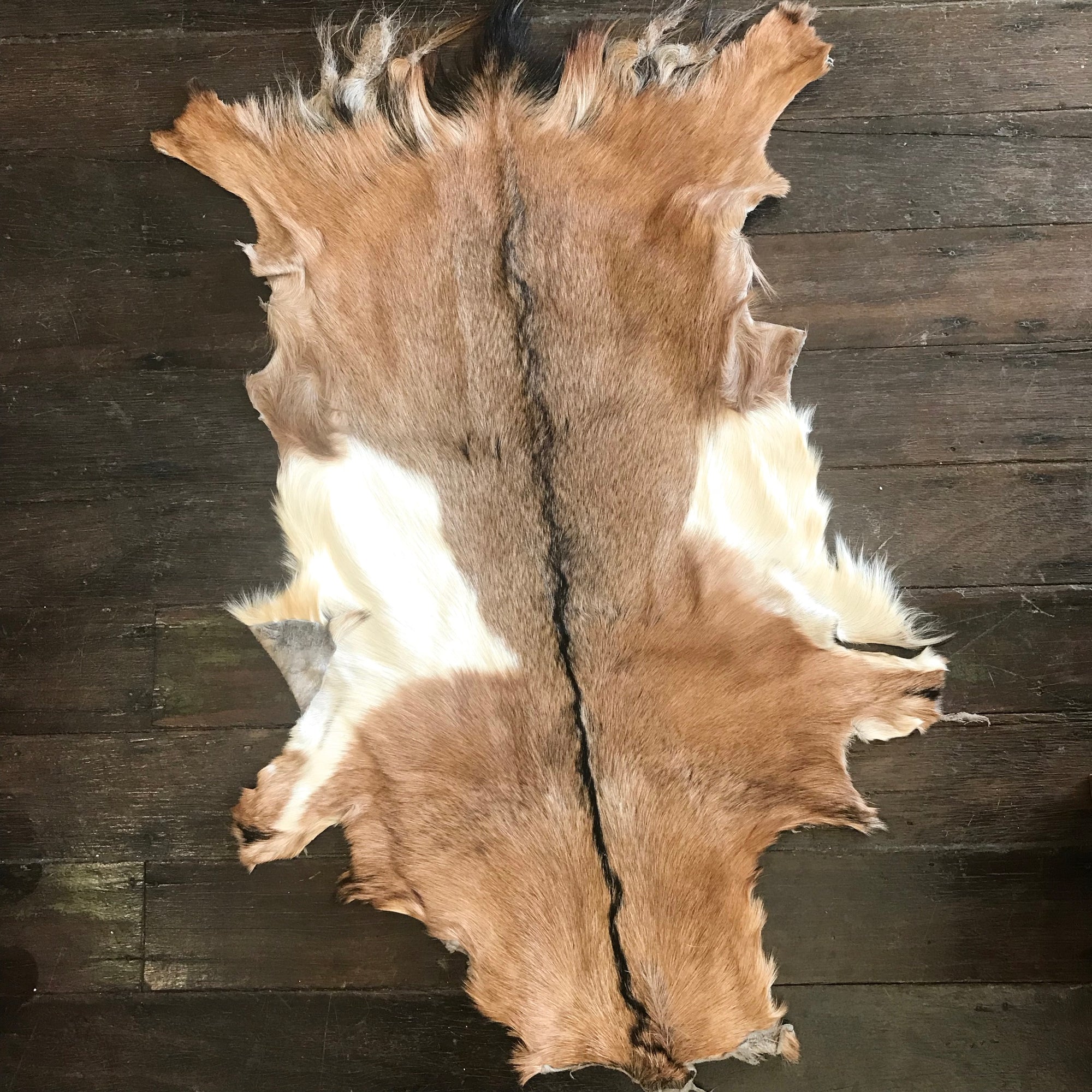 Goat Hide Rug