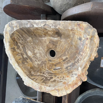 Petrified Timber Stone Basin #31