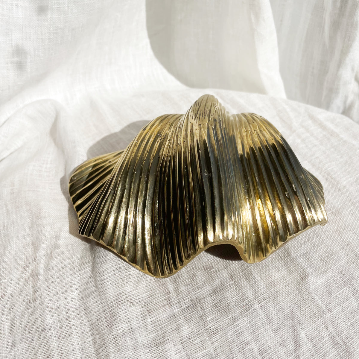Linear Brass Clam Shell 18cm