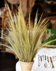 Thin Natural Rayung Grass Leaf